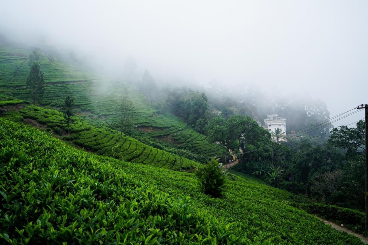 Lime Light Resort Munnar Eksteriør bilde